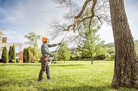 Best Tree Mulching  in Heyworth, IL